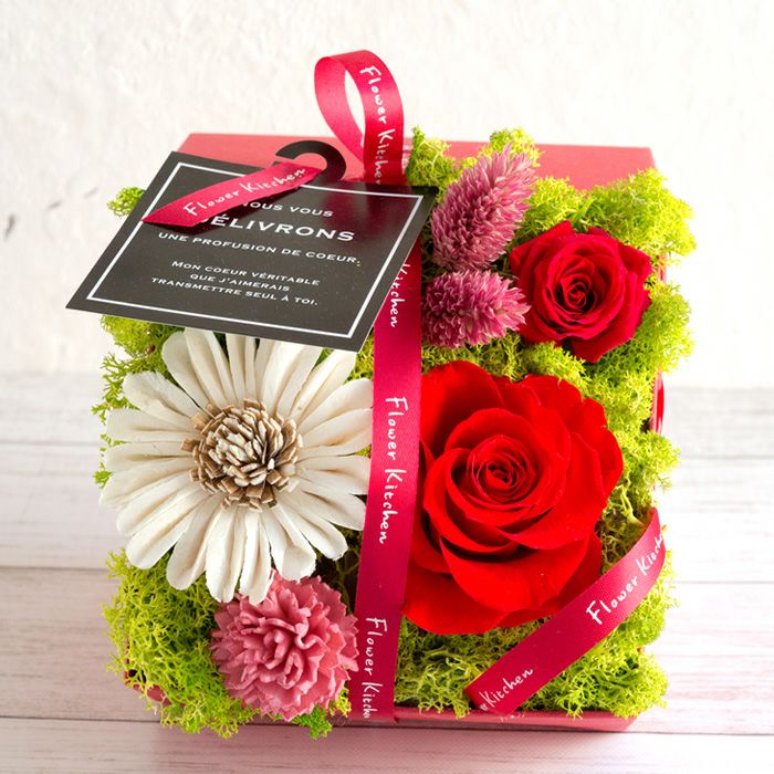 メルシーローズ