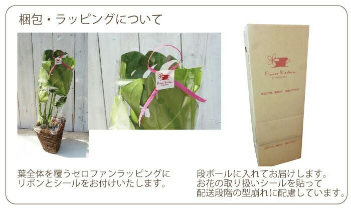 セローム 3.5号×ブリキカップ ラッピング