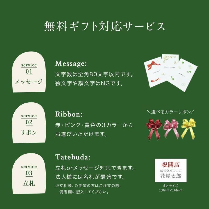 観葉植物 ドラセナコンシンネ7号鉢 白鉢 FKTK | Flower Kitchen JIYUGAOKA