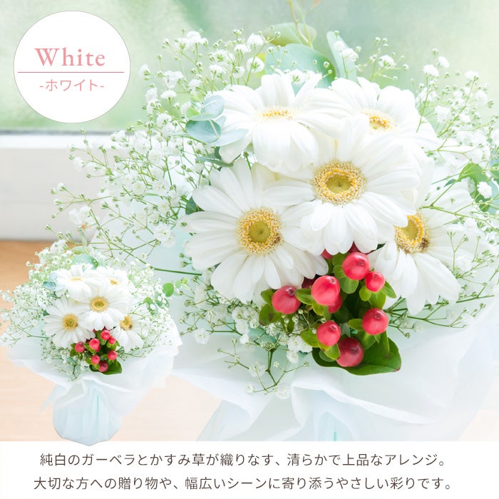 000000003871-07.jpg?size=l&w=